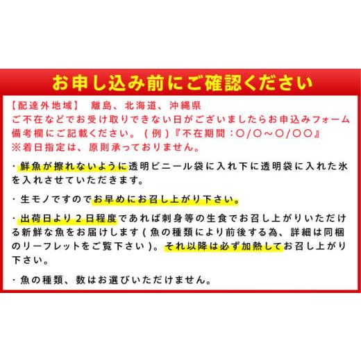 ふるさと納税 旬の鮮魚等 福井県 小浜市  定期便 全4回(3ヶ月毎発送) 下処理済 旬の天然鮮魚 2kg 以上 おまかせ セット 加福鮮魚 「若狭小浜港産地直送」  小…の画像