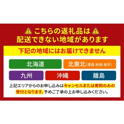 ふるさと納税 旬の鮮魚等 福井県 小浜市  定期便 全4回(3ヶ月毎発送) 下処理済 旬の天然鮮魚 2kg 以上 おまかせ セット 加福鮮魚 「若狭小浜港産地直送」  小…の画像