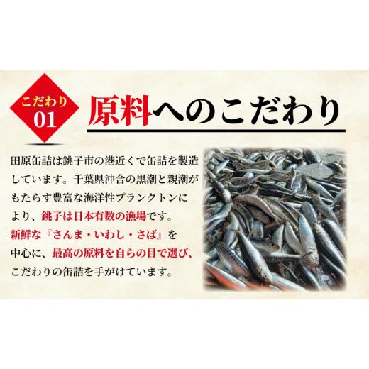 ふるさと納税 缶詰・瓶詰 魚貝類 千葉県 銚子市 サーモン水煮 缶詰 60缶 アトランティックサーモン 魚 シャケ サケ 鮭 サーモン 水煮 魚缶詰 備蓄品 保存食 簡…_3