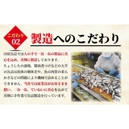 ふるさと納税 缶詰・瓶詰 魚貝類 千葉県 銚子市 サーモン水煮 缶詰 60缶 アトランティックサーモン 魚 シャケ サケ 鮭 サーモン 水煮 魚缶詰 備蓄品 保存食 簡…_4