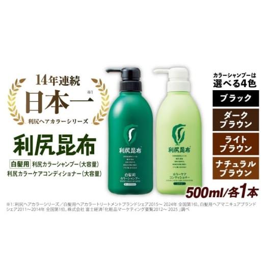 ふるさと納税 美容 福岡県 糸島市 ライトブラウン 色が選べる 2本セット [白髪用] 利尻カラーシャンプー 大容量サイズ+利尻カラーケアコンディショナー 大…