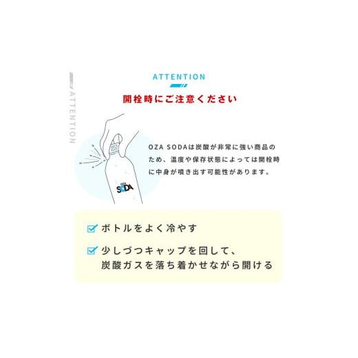 ふるさと納税 炭酸飲料 ソーダ水 山形県 山形市 OZA SODA 強炭酸水 500ml×24本×3回 計72本 隔月配送 ラベルレス(レモン) FZ24-265 ラベルレス レモン(24本×…_9