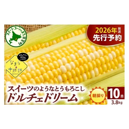 ふるさと納税 とうもろこし 北海道 芽室町 先行受付 2026年7月下旬〜8月15日頃配送 北海道十勝芽室町 なまら十勝野 ドルチェドリーム(10本) me001-043c-26…