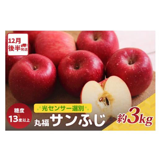 ふるさと納税 りんご 青森県 五所川原市 りんご サンふじ約3kg丸福 光センサー選果 糖度13度以上 青森産りんご 2025年12月後半発送 11月 12月 1月 2月 3月 配…