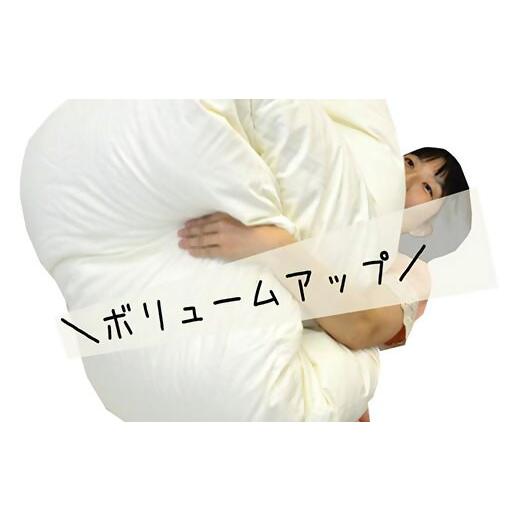 ふるさと納税 タオル・寝具 掛け布団 三重県 松阪市 11-6 ザ・羽毛布団 エクセルゴールドラベル ダブル 190×210cmイングランドダウン90％ 日本羽毛製品共同…_5