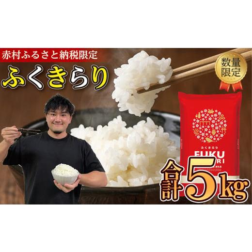 白米 ふくきらり 20kg