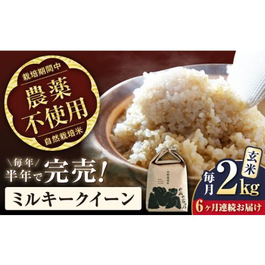 ふるさと納税 米 ミルキークイーン 滋賀県 長浜市 6回定期便 令和7年産 ミルキークイーン 玄米 2kg 米 定期便 お米 げんまい kome ごはん ご飯 ブランド米 コ…