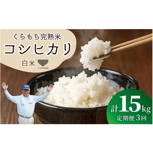 ふるさと納税 米 コシヒカリ 福井県 高浜町 先行予約 令和8年産 新米 3ヶ月定期便 くらもち完熟米 コシヒカリ(白米)5kg×3回 計15kg |コシヒカリ こしひ…