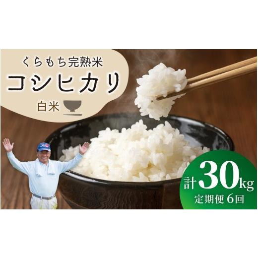 ふるさと納税 米 コシヒカリ 福井県 高浜町 先行予約 令和8年産 新米 6ヶ月定期便 くらもち完熟米 コシヒカリ (白米)5kg×6回 計30kg 5kg×6回 | 70,500円