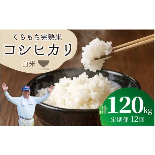 ふるさと納税 米 コシヒカリ 福井県 高浜町 先行予約 令和8年産 新米 12ヶ月定期便 くらもち完熟米 コシヒカリ (白米)10kg(5kg×2袋)×12回 計120kg | …