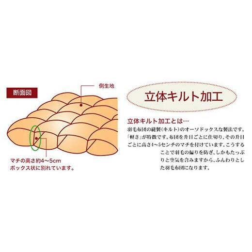 ふるさと納税 タオル・寝具 掛け布団 三重県 松阪市  5.6-2 夏に使う羽毛布団 ロイヤルゴールドラベル 薄掛け ダブル 190×210cmポーランドダックダウン93％ …の画像