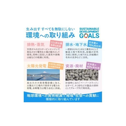 ふるさと納税 雑貨・日用品 静岡県 富士市 トイレットペーパー 「ボレロ」 ダブル 48ロール (12R×4パック) パルプ100％ ふんわり やわらか 花束の香り 香り付…_5