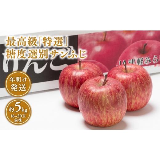 ふるさと納税 りんご 青森県 平川市 年明け 最高級「特選」糖度選別サンふじ 約5kg 青森県 平川市 JA津軽みらい 1月・2月 青森県産 平川 りんご くだもの フル…