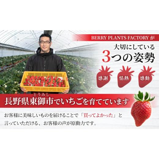 冷凍いちご　とちおとめ　9kg 冷凍いちご とちおとめ 9kg 【公式通販】