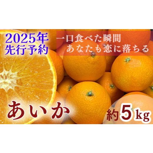 ふるさと納税 果物類 みかん 愛媛県 松山市 2025年 先行予約 訳あり 農家直送 名前だけが訳あり あいか 5kg | 紅まどんな と同種 みかん 愛媛 松山 フルーツ …