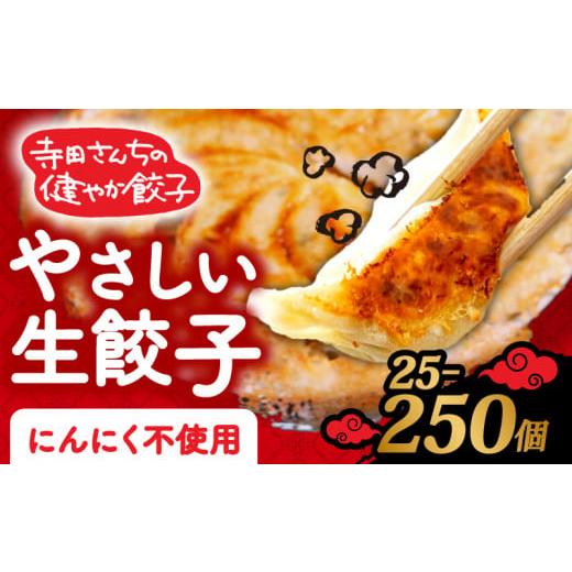 ふるさと納税 餃子 大阪府 松原市 やさしい生餃子 25個 にんにく 不使用 ヘルシー 冷凍 餃子 ぎょうざ 国産野菜 おから 鶏肉 アボカド ヨーグルト 生餃子 ギョ…