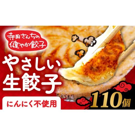 ふるさと納税 餃子 大阪府 松原市 メディア多数出演 やさしい生餃子 110個 健康 にんにく 不使用 ヘルシー 冷凍 餃子 ぎょうざ 国産野菜 おから 鶏肉 アボカ…