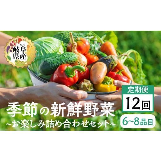 ふるさと納税 セット・詰合せ 岐阜県 本巣市 季節の野菜セットA 6〜8品目 お届け回数 12回 お届け 定期便 12か月 品目おまかせ BBQ 春 夏 秋 冬 野菜 料理 自…の画像