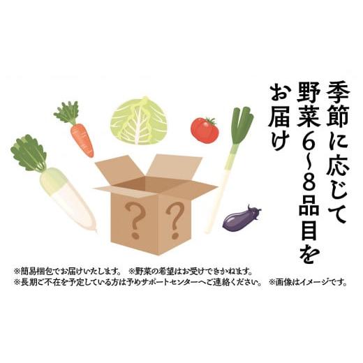ふるさと納税 セット・詰合せ 岐阜県 本巣市 季節の野菜セットA 6〜8品目 お届け回数 12回 お届け 定期便 12か月 品目おまかせ BBQ 春 夏 秋 冬 野菜 料理 自…の画像