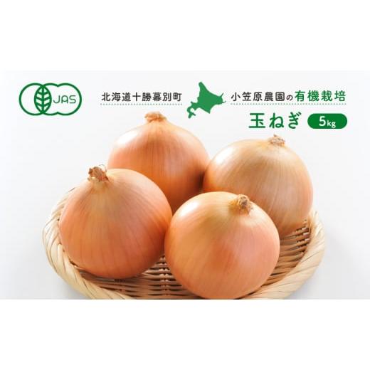 ふるさと納税 野菜類 玉ねぎ 北海道 幕別町 小笠原農園の有機玉ねぎ5kg 北海道十勝幕別 《2026年秋出荷先行予約》 野菜 玉ねぎ たまねぎ パワーウルフ 北海道 …の画像