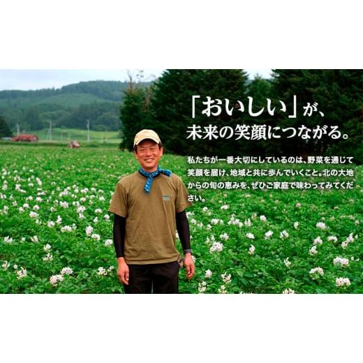 ふるさと納税 野菜類 玉ねぎ 北海道 幕別町 小笠原農園の有機玉ねぎ5kg 北海道十勝幕別 《2026年秋出荷先行予約》 野菜 玉ねぎ たまねぎ パワーウルフ 北海道 …の画像