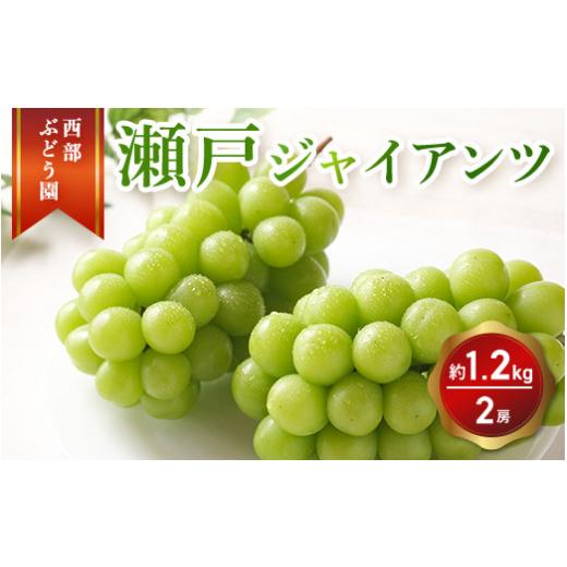 ふるさと納税 ぶどう 広島県 竹原市 西部ぶどう園 瀬戸ジャイアンツ2房 約1.2kg 葡萄 フルーツ 果物 2026年9月上旬頃より順次発送 沖縄・離島への配送不可