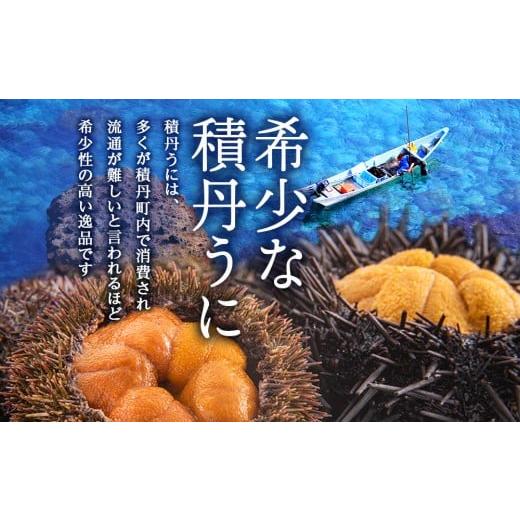 ふるさと納税 ウニ 北海道 積丹町  2026年夏発送分 バフンウニ100g×1パックの画像