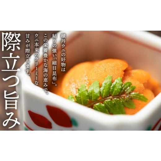 ふるさと納税 ウニ 北海道 積丹町  2026年夏発送分 バフンウニ100g×1パックの画像