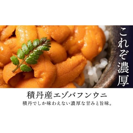 ふるさと納税 ウニ 北海道 積丹町  2026年夏発送分 バフンウニ100g×1パックの画像