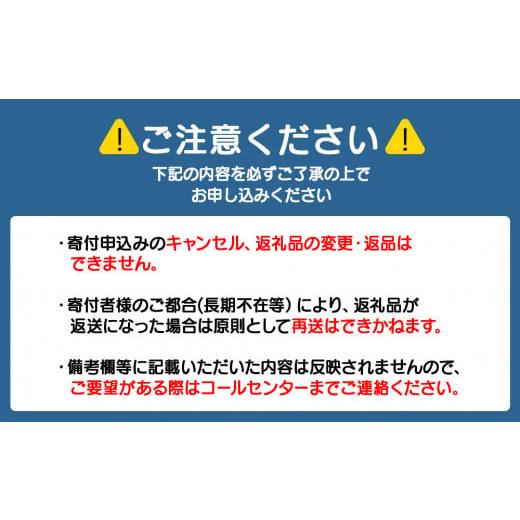 ふるさと納税 ウニ 北海道 積丹町  2026年夏発送分 バフンウニ100g×1パックの画像