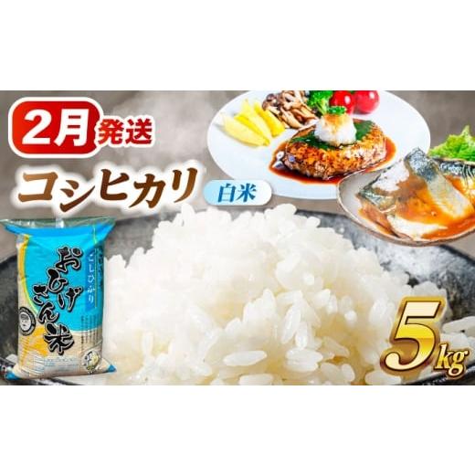 ふるさと納税 米 コシヒカリ 愛知県 愛西市 2月発送 コシヒカリ 白米 5kg 米 お米 5kg 5キロ 白米 精米 新米 コメ ご飯 ごはん 愛知県産 国産 県産米 国産米 …