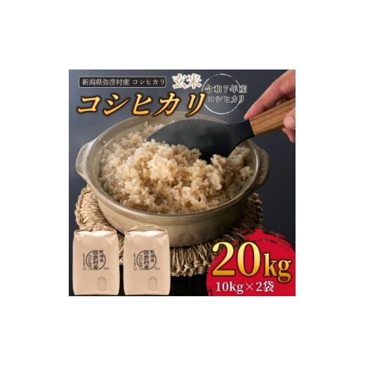 ふるさと納税 玄米 新潟県 弥彦村 玄米 20kg 令和7年産 新潟 コシヒカリ | 新潟県産 こしひかり お米 米 20キロ 備蓄 こめ コメ ギフト げんまい 新潟産コシヒ…の画像