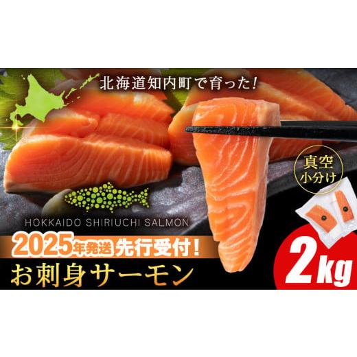 サーモン、、同封可能 ふるさと納税 鮭・サーモン 北海道 知内町 2025年7月末以降出荷 知内