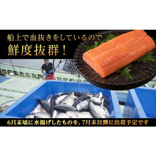 サーモン、、同封可能 ふるさと納税 鮭・サーモン 北海道 知内町 2025年7月末以降出荷 知内