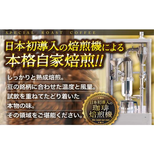 ふるさと納税 珈琲 珈琲粉 長崎県 佐世保市 E282d 《定期便》必ずさし出し日に自分自身生まれ育つ焙煎青味お山No.1粉(800g)＋ドリップ御徒面子16風呂敷き包み 6回お…