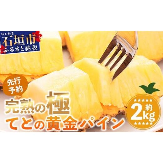 ふるさと納税 果物類 沖縄県 石垣市 [2026年5月中旬以降順次発送] 先行予約 香りに溺れる ? 完熟の極 てとの黄金パイン大玉約2kg 沖縄 石垣 ゴールデン パ…