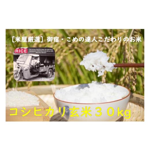 ふるさと納税 米 コシヒカリ 千葉県 御宿町 コメアミーゴこだわりのおんじゅく米コシヒカリ30kg(玄米)