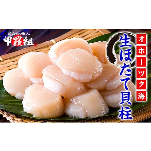 ふるさと納税 魚貝類 ホタテ 北海道 紋別市 31-12 甲羅組 ほたて貝柱 大型サイズ 1kg