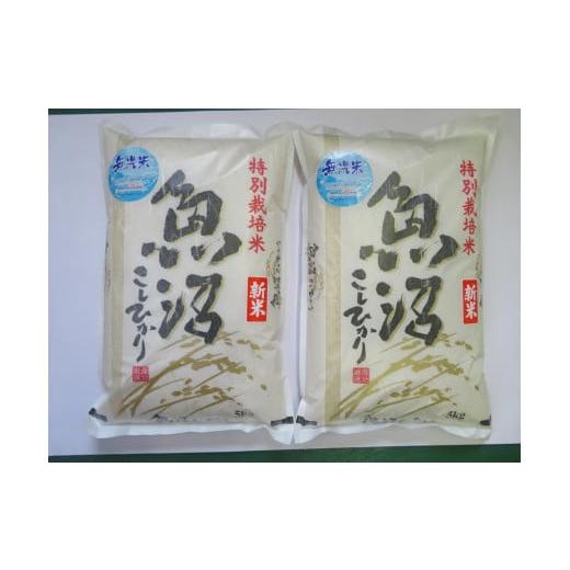 ふるさと納税 無洗米 新潟県 - 令和7年産先行予約 無洗米 魚沼産コシヒカリ特別栽培米 5kg×2 : ふるさとチョイス - 通販 ...