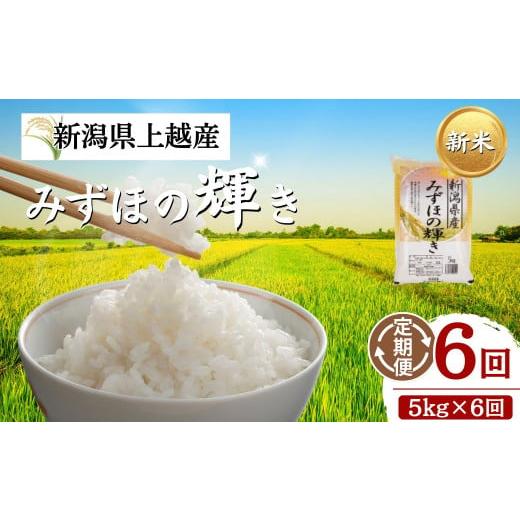 ふるさと納税 米 新潟県 上越市  先行予約 令和7年 新米 新潟上越産 みずほの輝き 定期便 6ヶ月連続お届け 5kg&times;6回 30kg 新潟 新潟県 限定