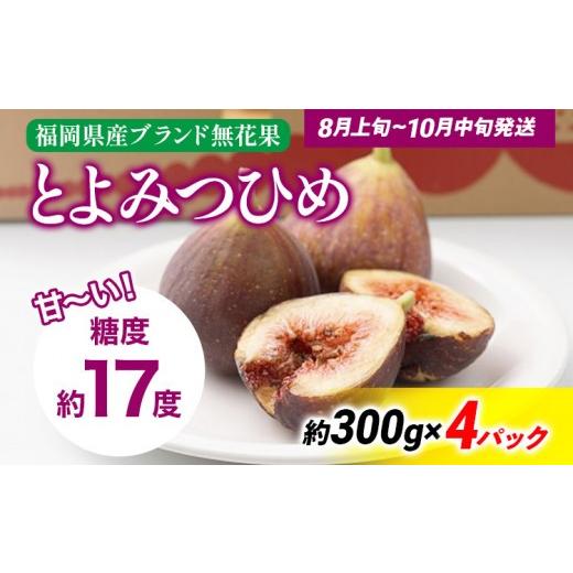 ふるさと納税 いちじく 福岡県 大木町 [先行予約]期間限定 いちじく 「とよみつひめ」 1.2kg 福岡県産ブランド フルーツ 無花果 (約300g×4パック) 1200g 南…