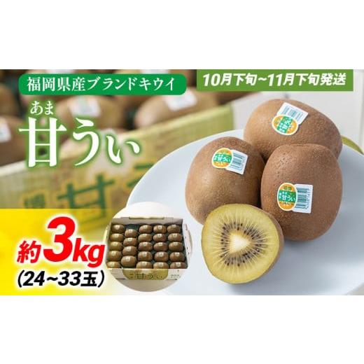 ふるさと納税 果物類 福岡県 大木町 [先行予約]期間限定 福岡県産ブランドキウイ「甘うぃ」約3kg(24-33玉)美容 健康 キウイ キウイフルーツ 南国フルーツ …