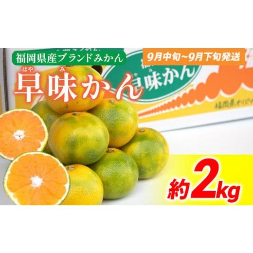 ふるさと納税 果物類 みかん 福岡県 大木町 [先行予約]期間限定 みかん 福岡県産ブランド 「早味かん」 約2kg フルーツ 返礼品 お取り寄せグルメ お取り寄せ…