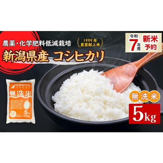 ふるさと納税 無洗米 新潟県 胎内市 16-M051新潟県胎内市産コシヒカリ 無洗米 5kg