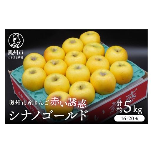 ふるさと納税 りんご 岩手県 奥州市 奥州市産りんご 赤い誘惑「シナノゴールド」約5kg 16-20玉 1箱 秀品 林檎 りんご シナノゴールド フルーツ 果物 期間限定 …