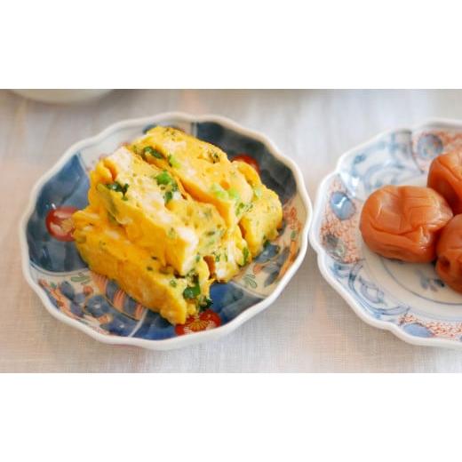 ふるさと納税 食器・グラス 小皿 佐賀県 有田町 有田焼 色絵丸紋草花割 4寸皿 11.5cm まるぶんオリジナル 食器 器 うつわ 磁器 皿 小皿 豆皿 プレート 取皿 菓…の画像
