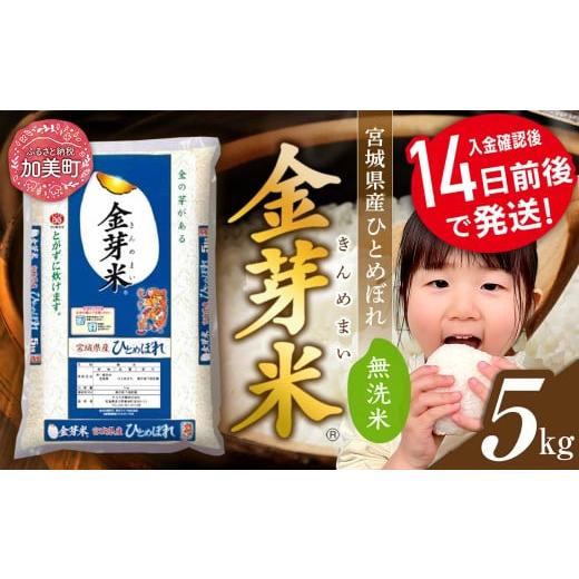 ふるさと納税 無洗米 宮城県 加美町 5kg 令和6年 無洗米 金芽米 宮城県産 ひとめぼれ 5kg 米 小分け 便利 時短 栄養 健康 低糖質 低カロリー 糖質オフ 環境 …