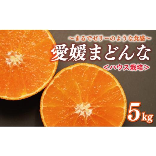 ふるさと納税 果物類 愛媛県 愛南町 先行予約 正品 まどんな 5kg ハウス栽培 みかん 20000円 愛果28号 紅まどんな 同品種 あいか アイカ 高級 人気 ブランド …