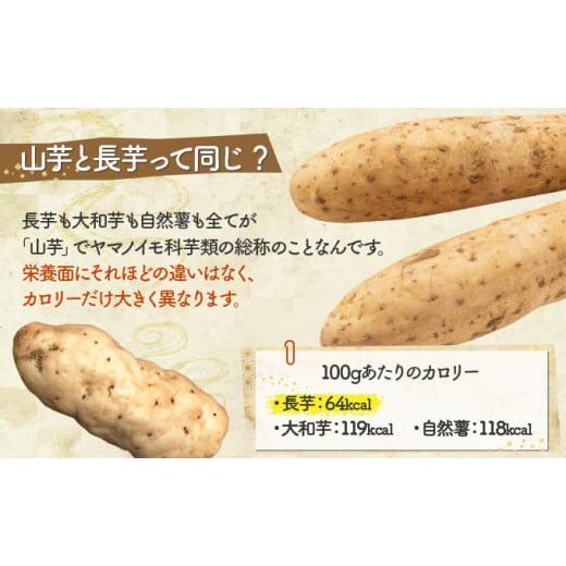 ふるさと納税 人参・大根・他根菜 青森県 七戸町 2ヶ月定期便 青森県産