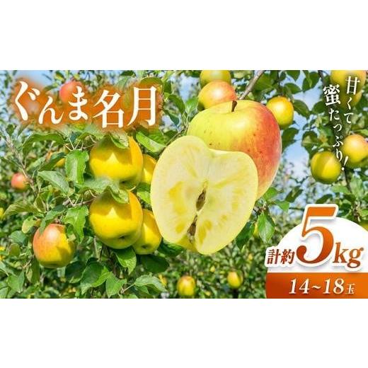 ふるさと納税 りんご 長野県 塩尻市 信州産 塩尻エールりんご 果汁たっぷり ぐんま名月 約5kg(14〜18玉) 11月上旬以降発送予定 | 果物 くだもの フルーツ 林…